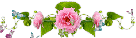سفره خانه خوب در بروجرد