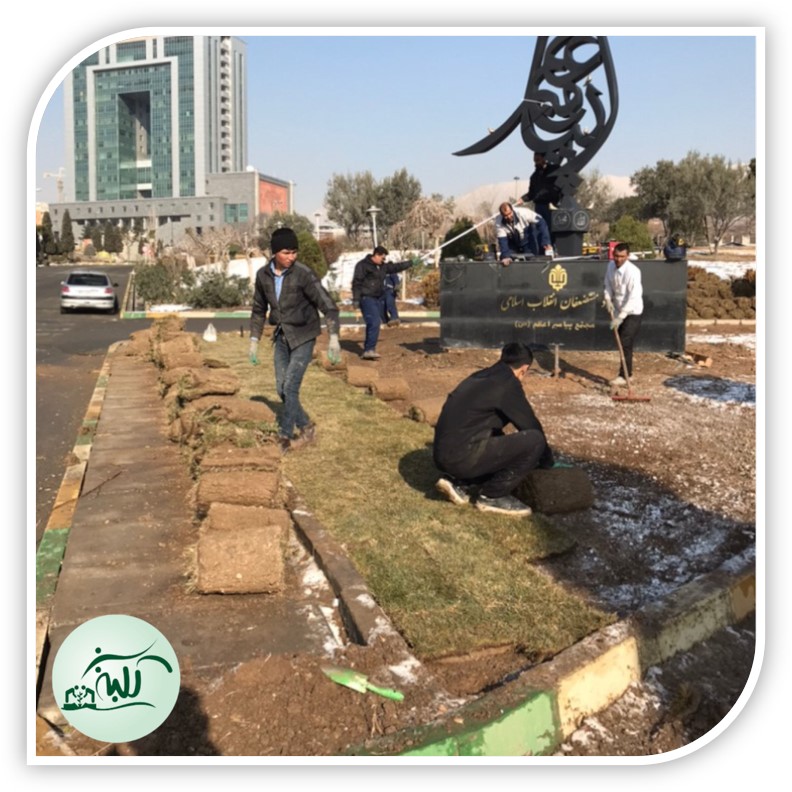 اجرای چمن رول طبیعی در تهران