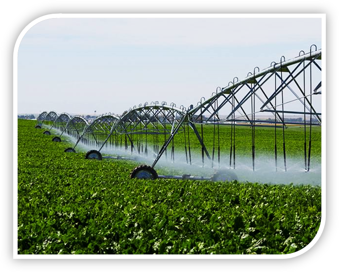 اجرای سیستم آبیاری اتوماتیک در تهران