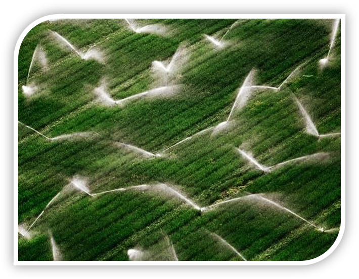 اجرای سیستم آبیاری هوشمند در تهران