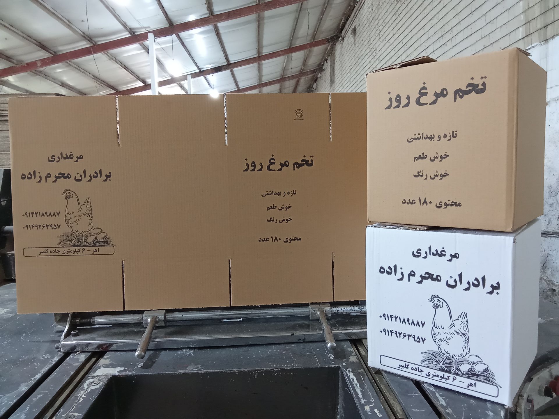 کارتن سازی در شهر تبریز
