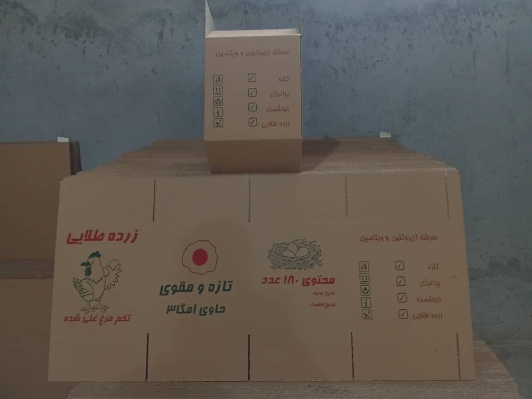 کارتن سازی خوب در تبریز