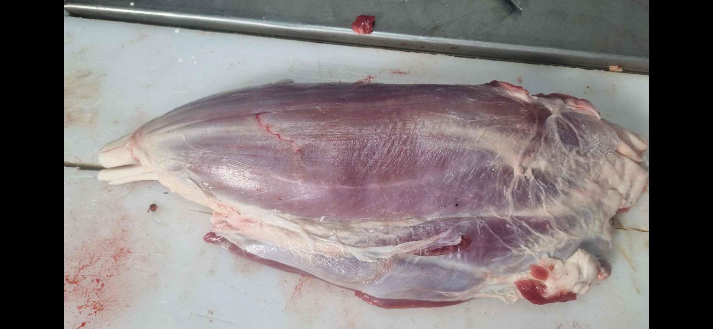 ماهیچه گوساله مناسب خورش و آبگوشت
