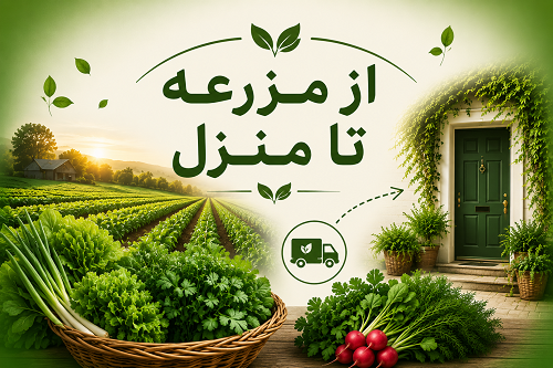 سبزیجات آماده درشهرک بنفشه
