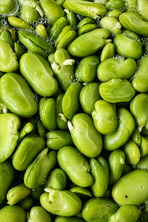 سبزیجات آماده درشهرک بنفشه