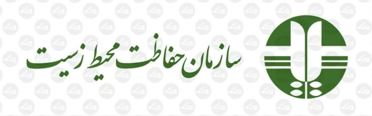 طراحی سایت وردپرس در اصفهان&nbsp;