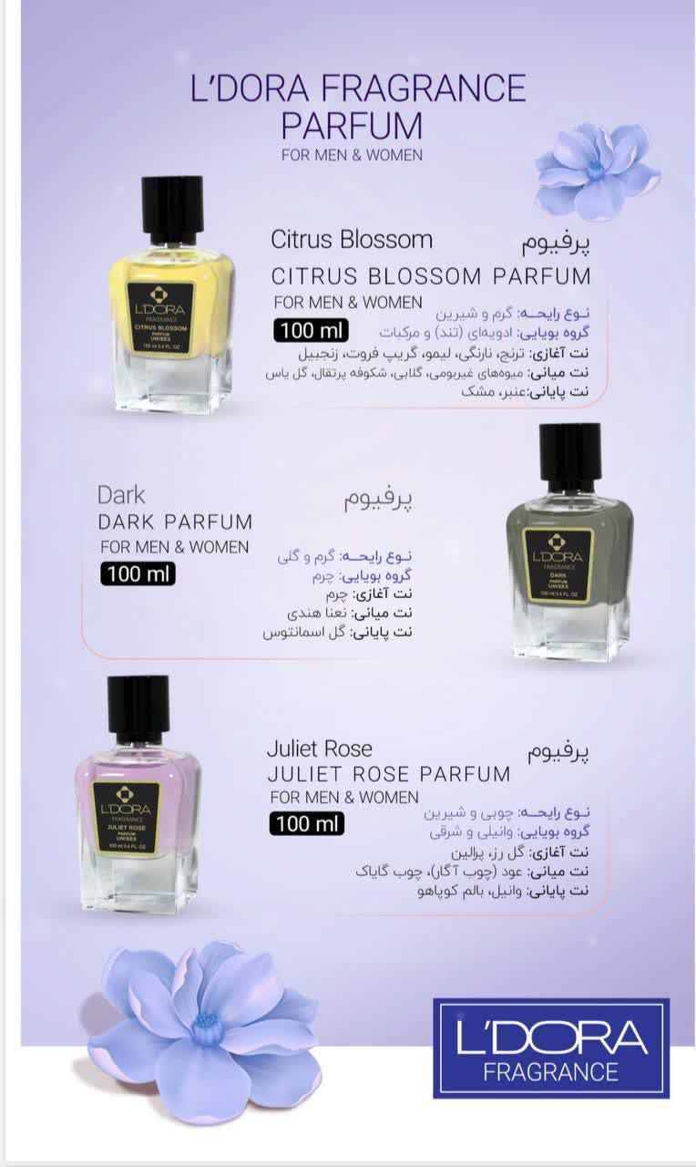 کارشناسلدورا حیدری