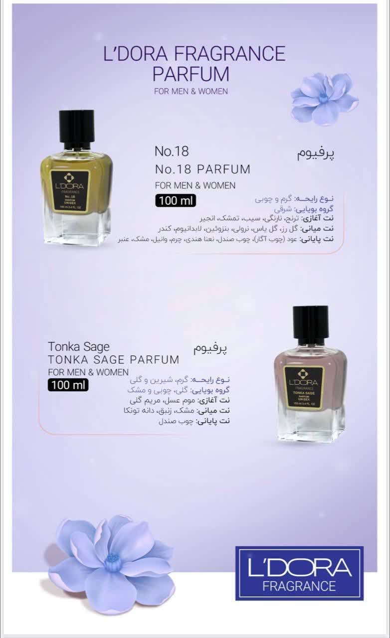 کارشناسلدورا حیدری