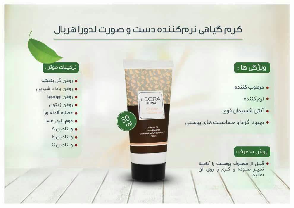 کارشناسلدورا حیدری