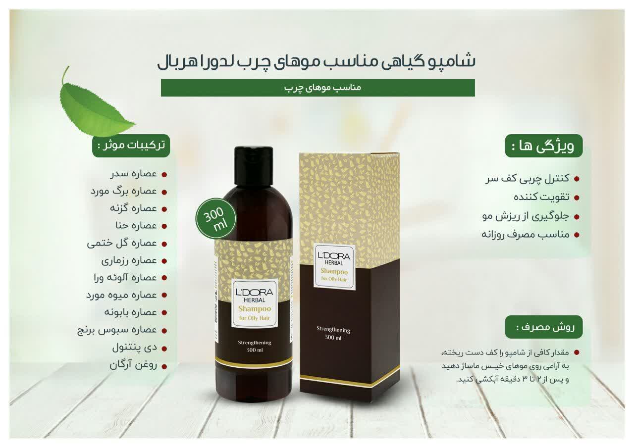 کارشناسلدورا حیدری