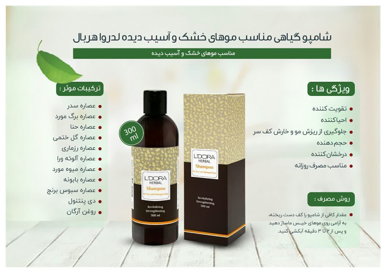 کارشناسلدورا حیدری