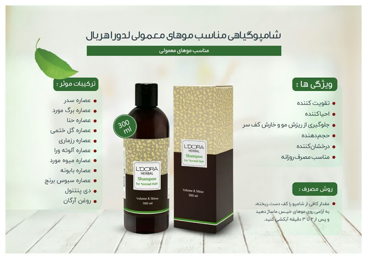کارشناسلدورا حیدری
