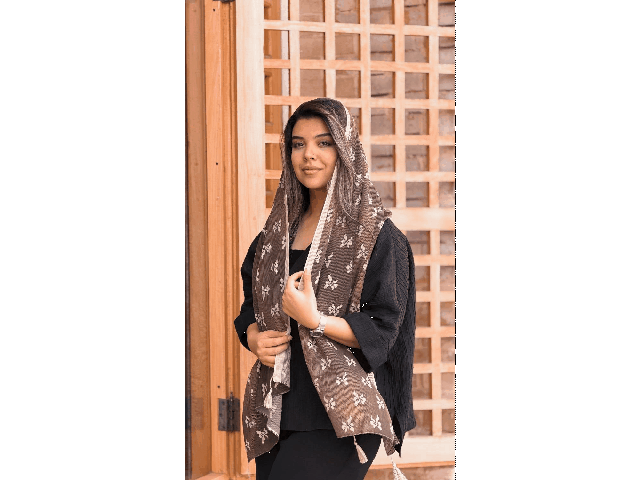 محمد آرمان احمدی