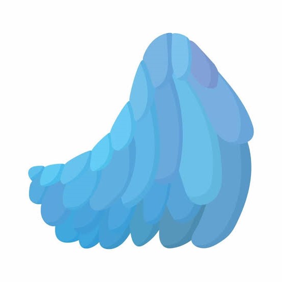 شرکت تتراجام