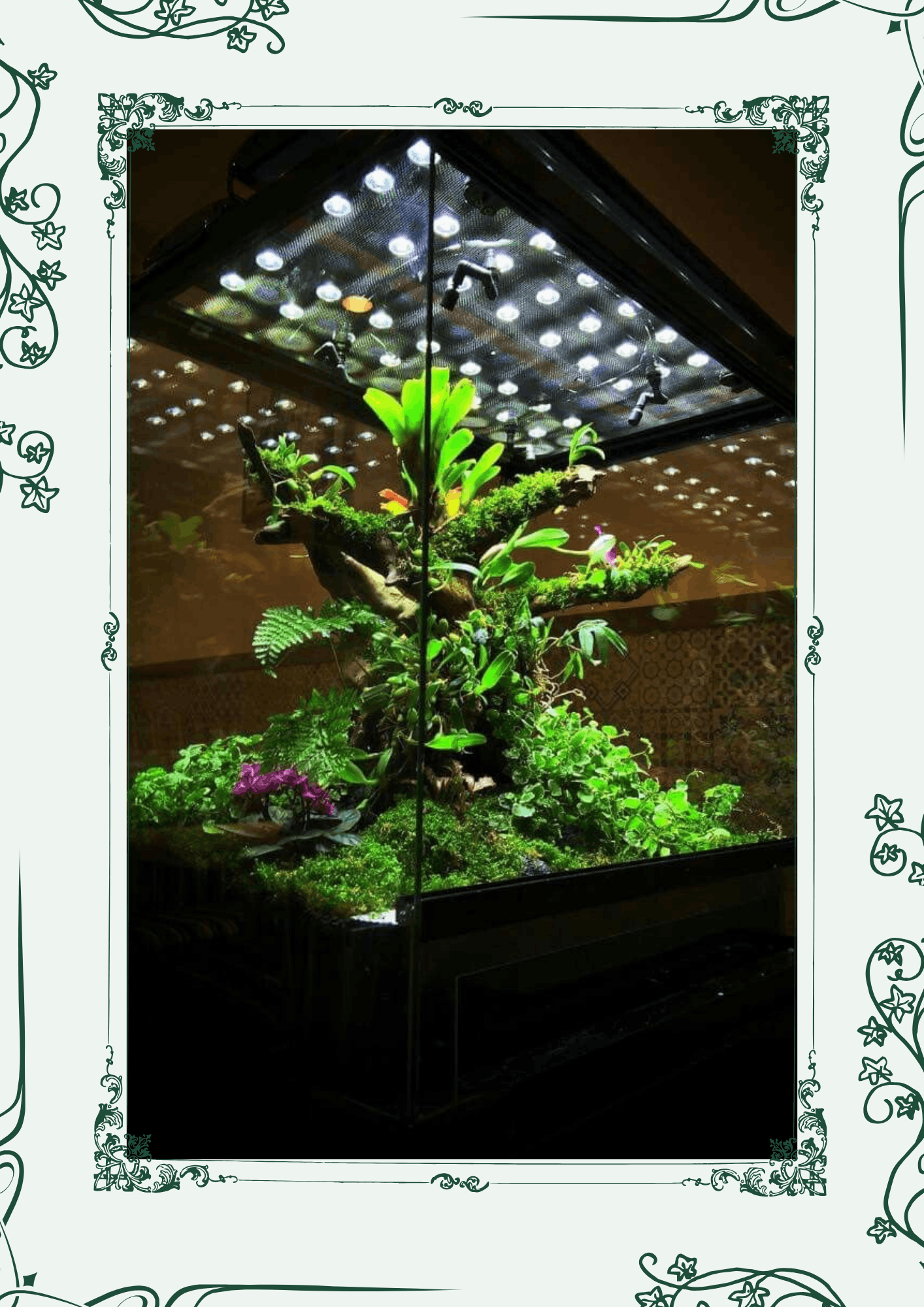 گیاهان فضای سبز