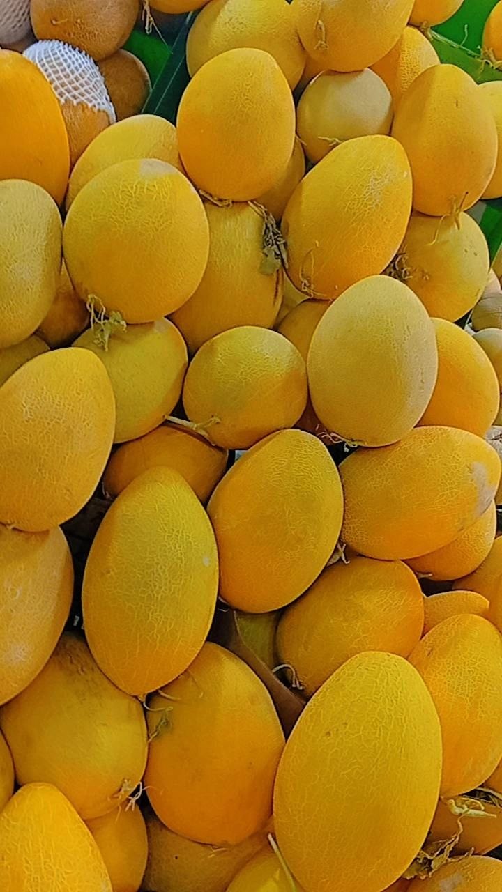 میوه تابستانی