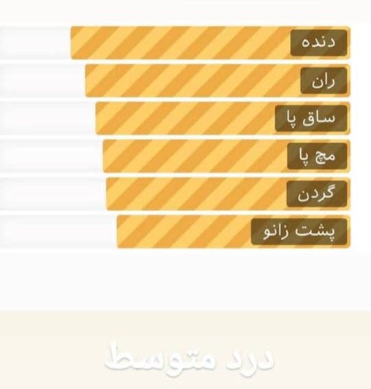 تتو کار حرفهای در محدوده منظریه اصفهان