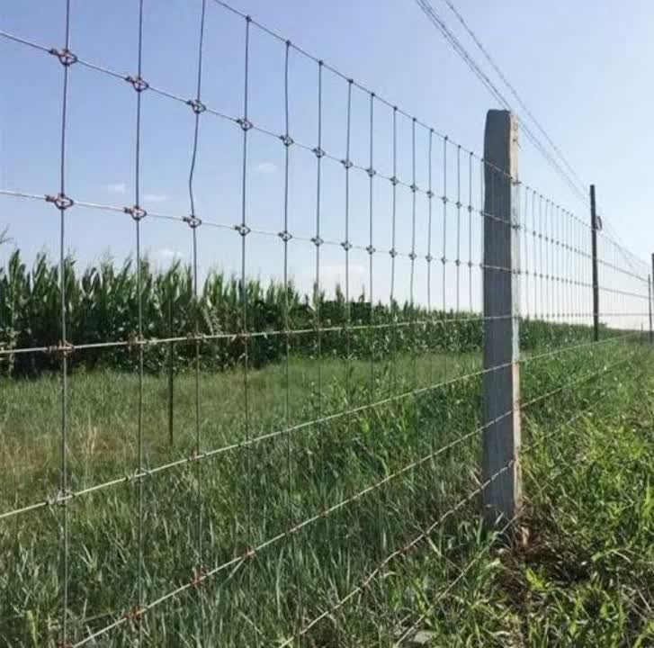 علیرضا حسن پور