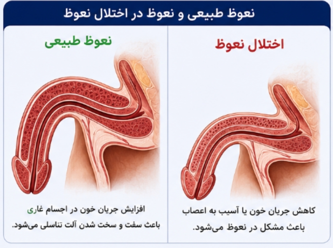 متخصص و جراح ارولوژی در کرج&nbsp;