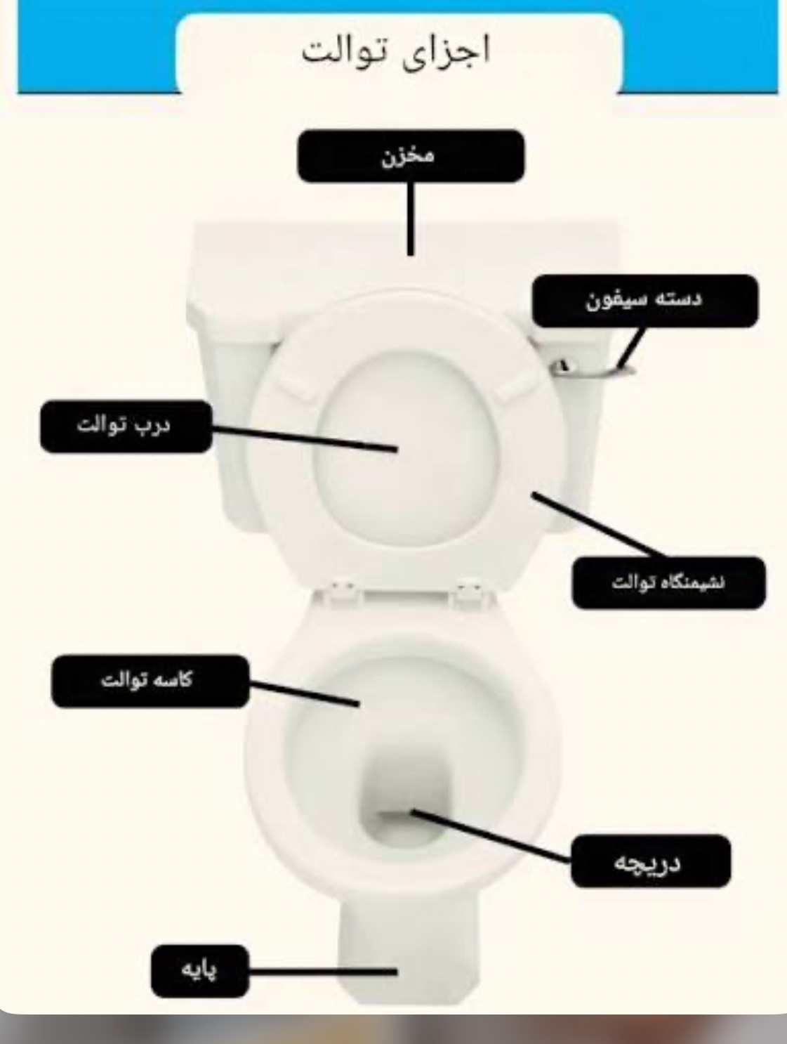 تعمیرکار توالت فرنگی در سعادت آباد