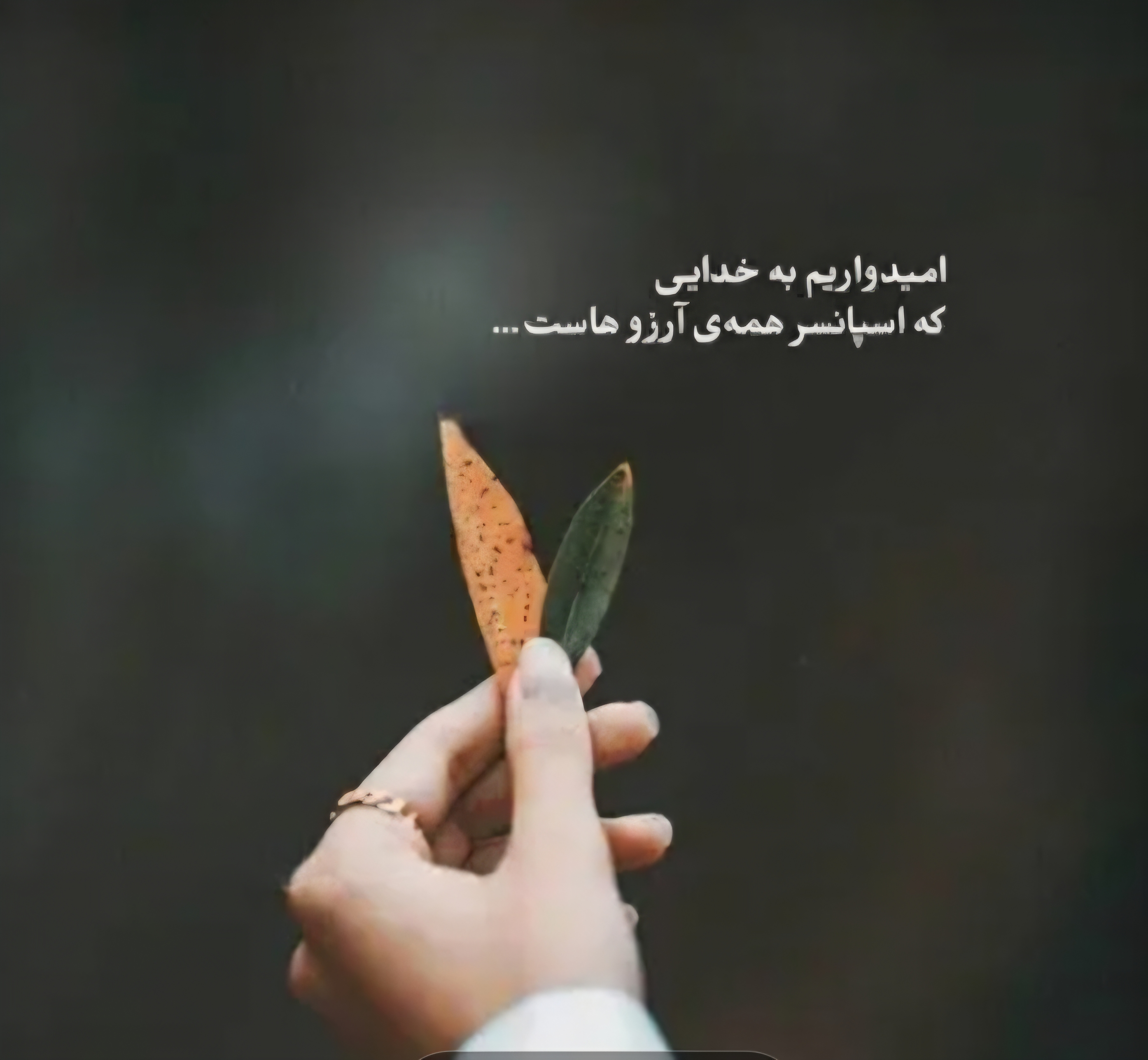 راضیه غفاری