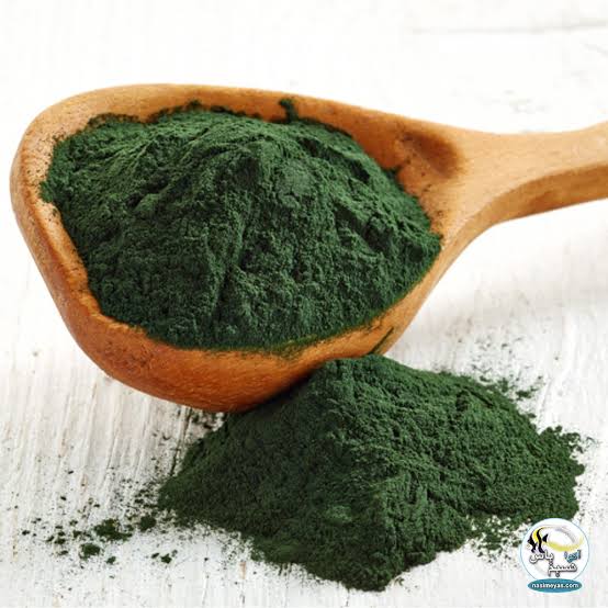 پودر چلبک اسپیرولینا چگونه  تولید میشود؟