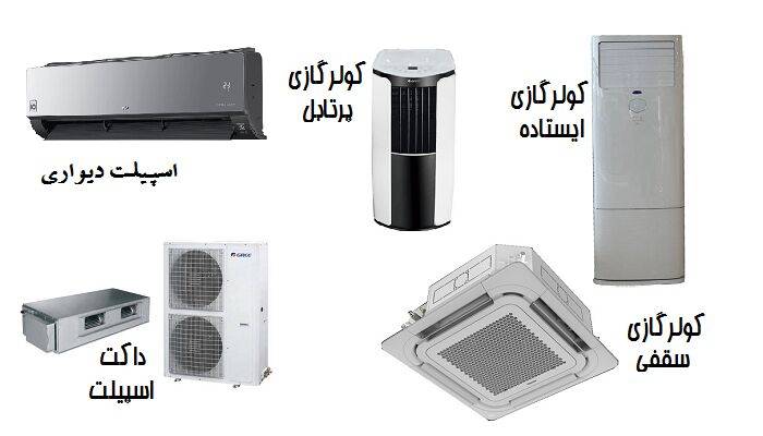 سارا ساسانی پور