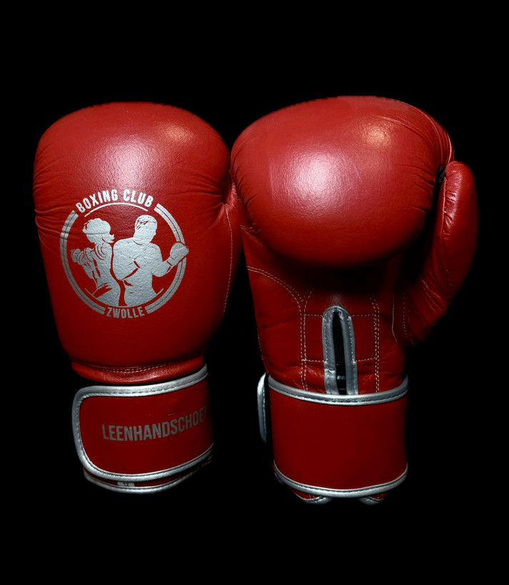 دستکش بوکس&nbsp;