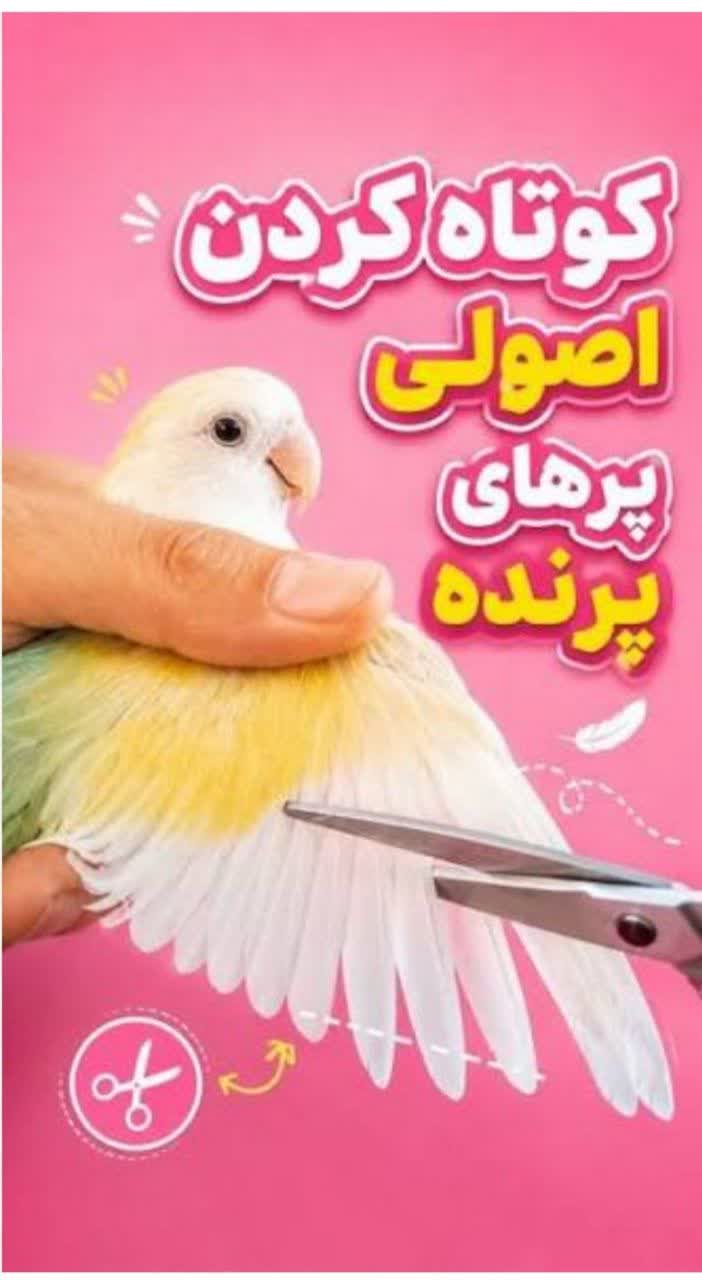 دارو و مکمل پرنده کرج