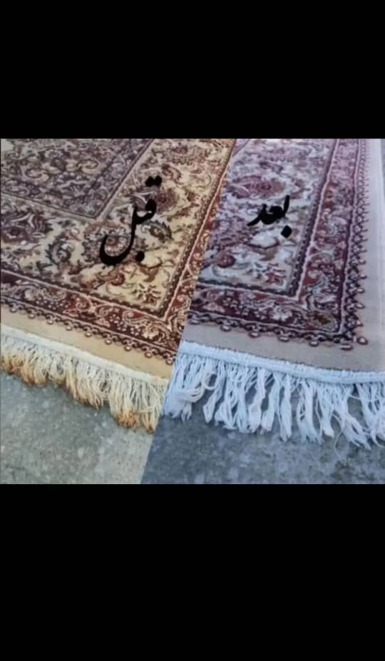 قالیشویی صدف