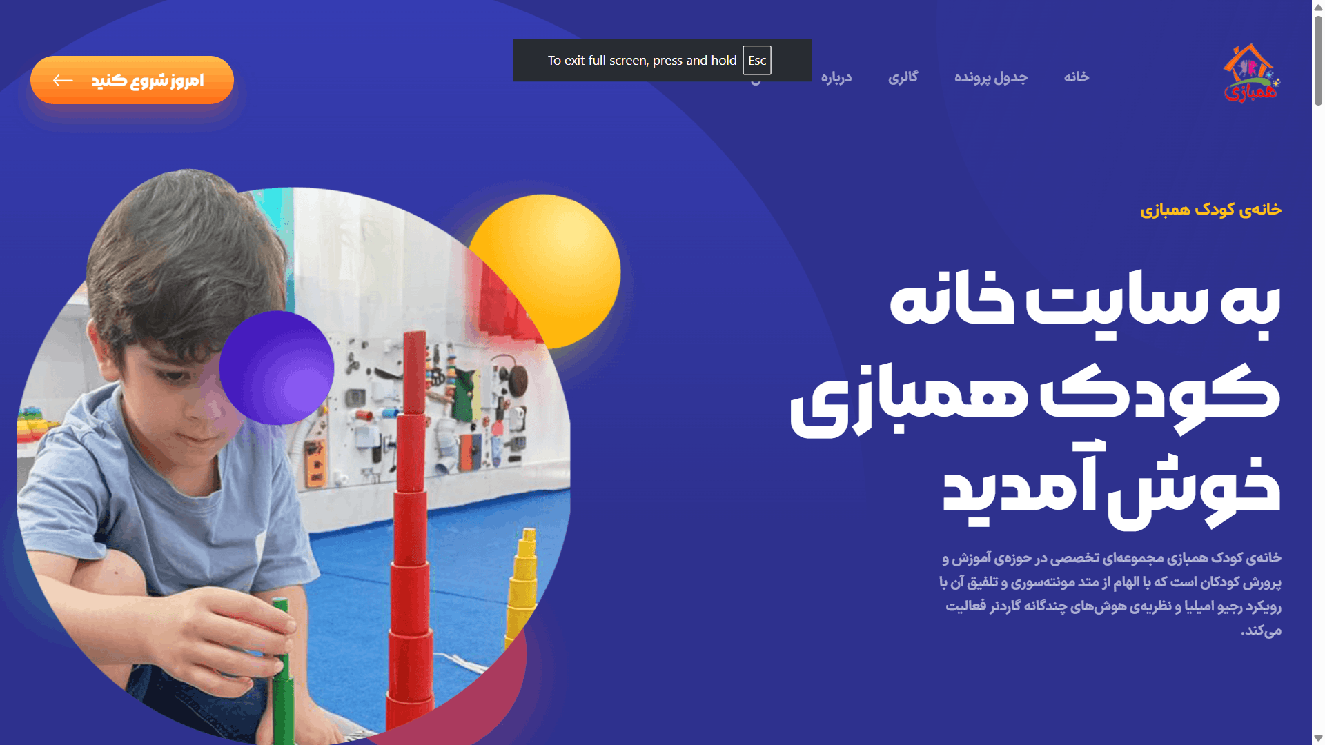طراحی سایت در شیراز
