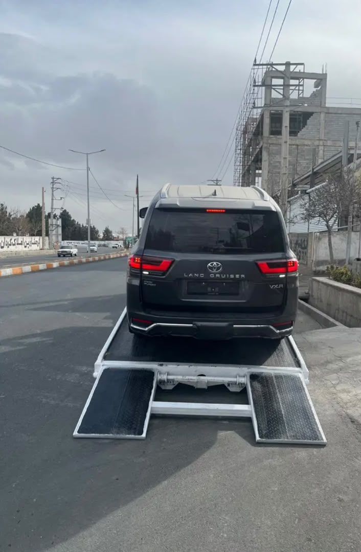 علیرضا شیخ