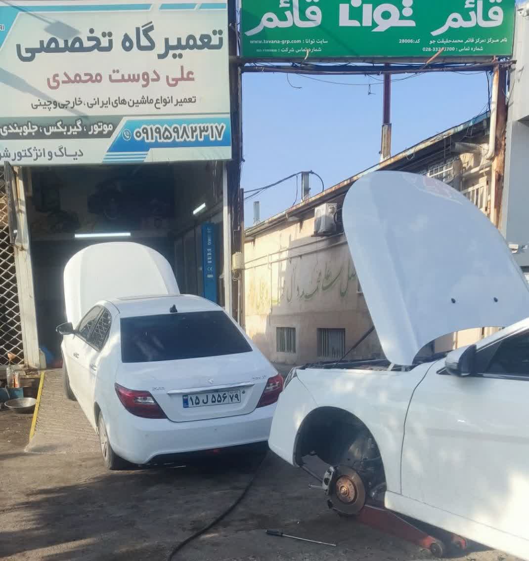 علی دوست محمدی