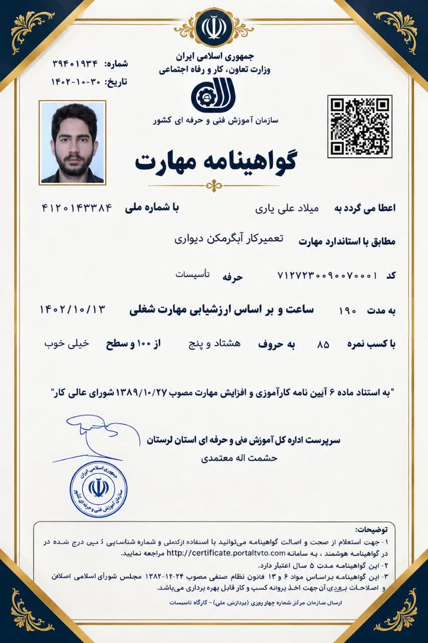 گواهینامه مهارت میلاد علی