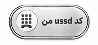 امیر جعفرنژادیان