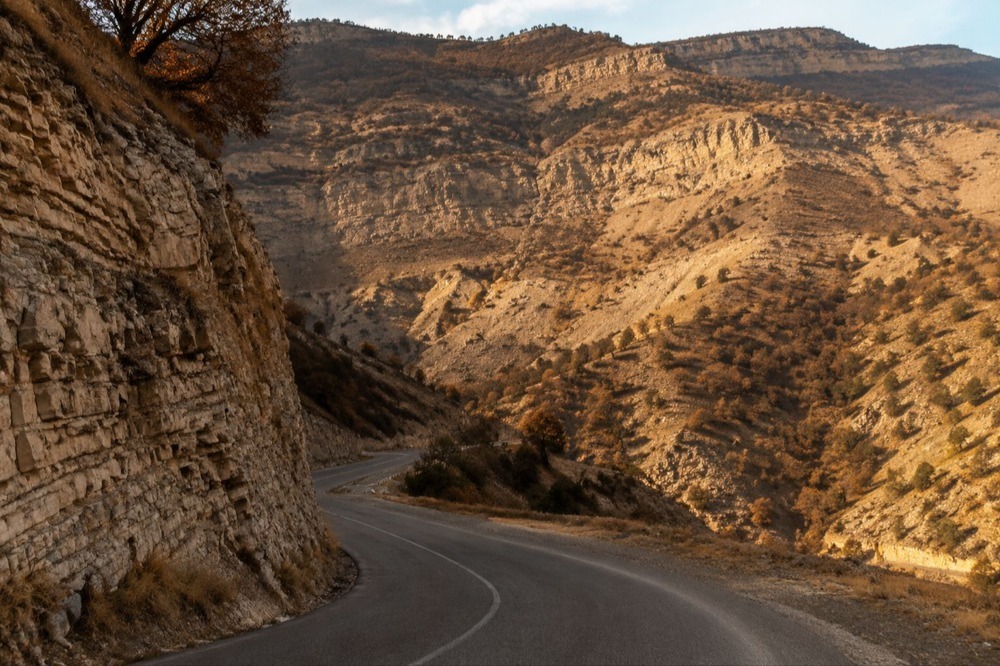 صنایع شیمیایی کرمان 
