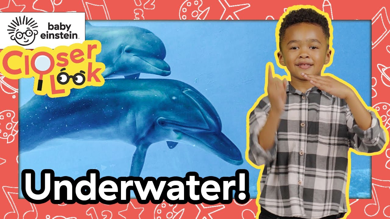 پوستر نگاه نزدیک به حیوانات زیرآب! بیبی اینشتین برنامه آموزشی...