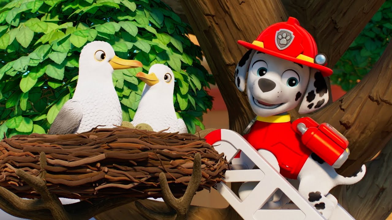 پوستر پاور پترول - باغ وحش وایلدبرین زنده 🔴 کارتون برای کودکان...