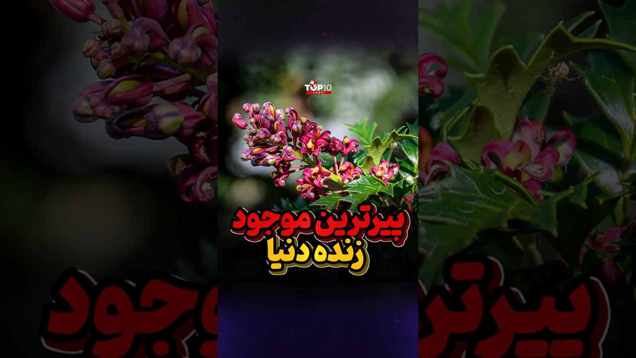 موجود همدوره ماموتها هنوز زندس