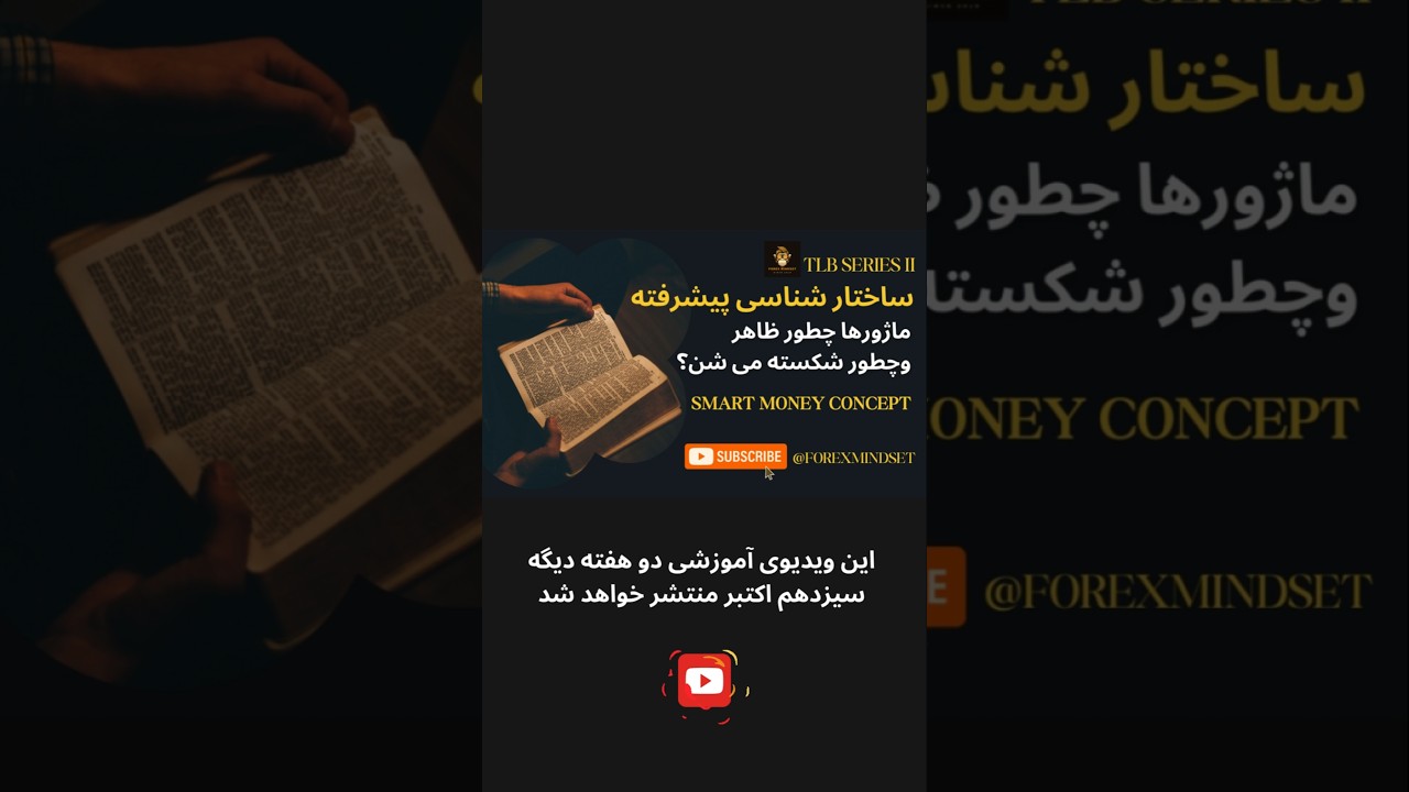 ویدیوی جدید آموزش روی تی ال بی در کانال یوتیوب FOREXMINDSET، پنج شنبه 13 اکتبر.#