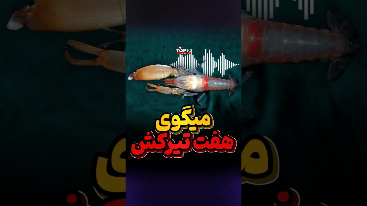 بلند ترین صدای حیوانی
