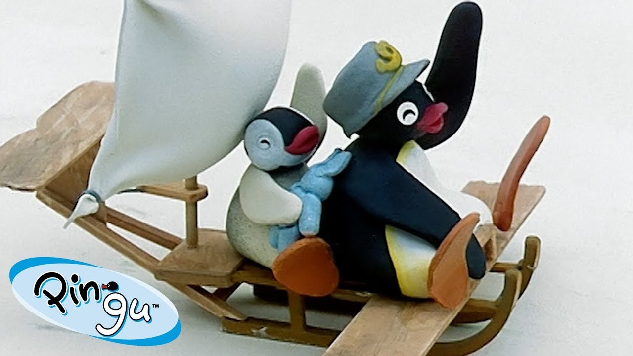 پینگو پرنده! 🐧 | کانال رسمی پینگو | انیمیشن برای کودکان
