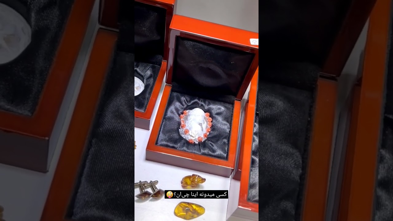 آیا کودکان اینها را می‌شناسند؟🥰 فراموش نکنید، فردا ویدیو جدید منتشر می‌شود🥳