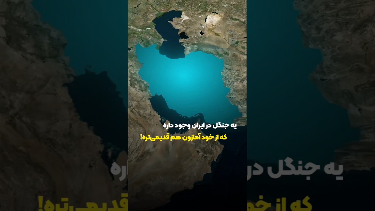 این جنگل ایرانی، قدیمی‌تر از آمازون است!