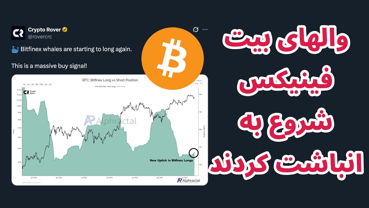 والهای بیت فینیکس شروع به انباشت کرده اند | خلاصه اخبار بازار کریپتو همراه با حم