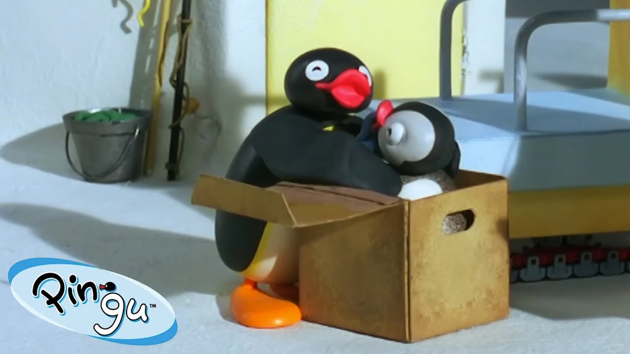 پینگو در جعبه! 🐧 | کانال رسمی پینگو | کارتون برای کودکان