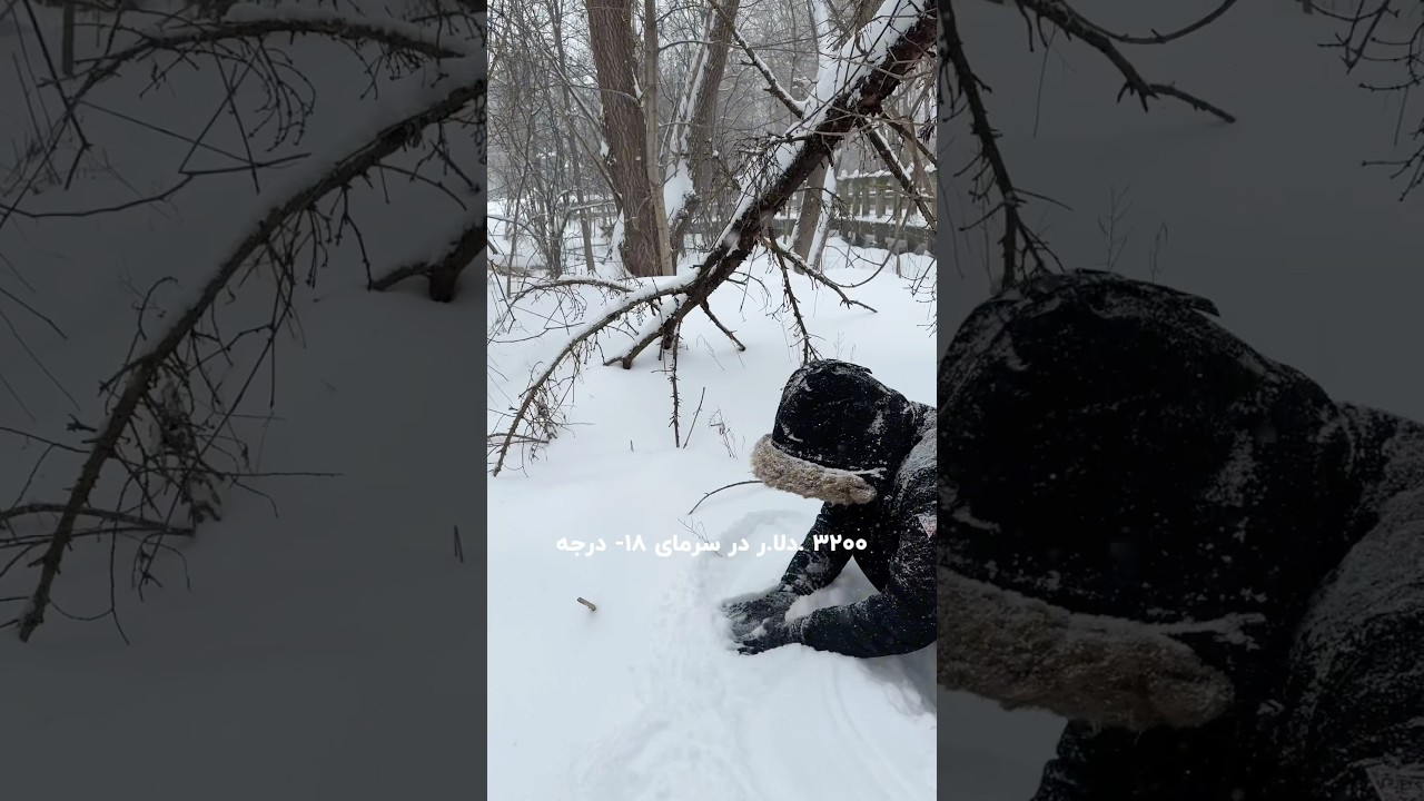 پوستر ۳۲۰۰ دلار سود در دمای ۱۸- درجه نکته‌ای روانشناسی مهم