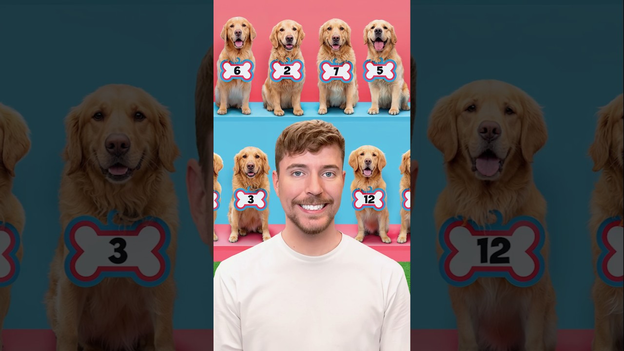 پوستر سگ خود را پیدا کنید و ۱۰,۰۰۰ دلار جایزه بگیرید!