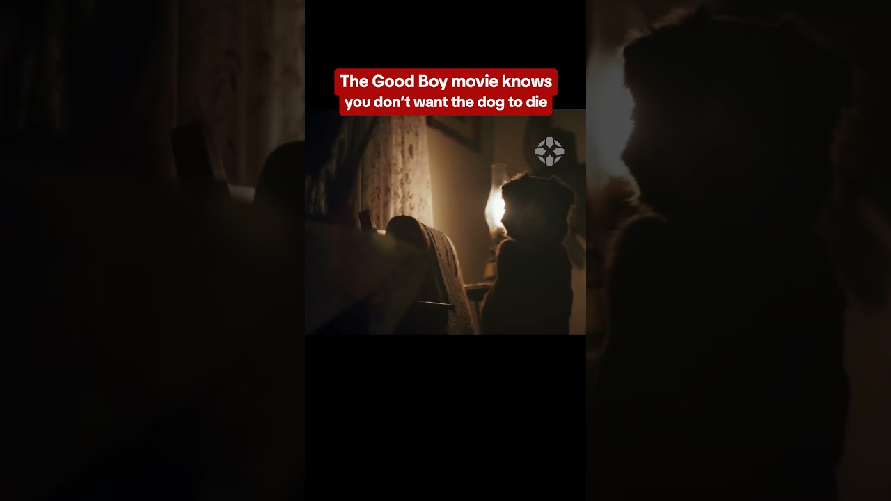 پوستر این فیلم ترسناک درباره سگ‌ها، بزرگ‌ترین ترس شما را می‌شناسد