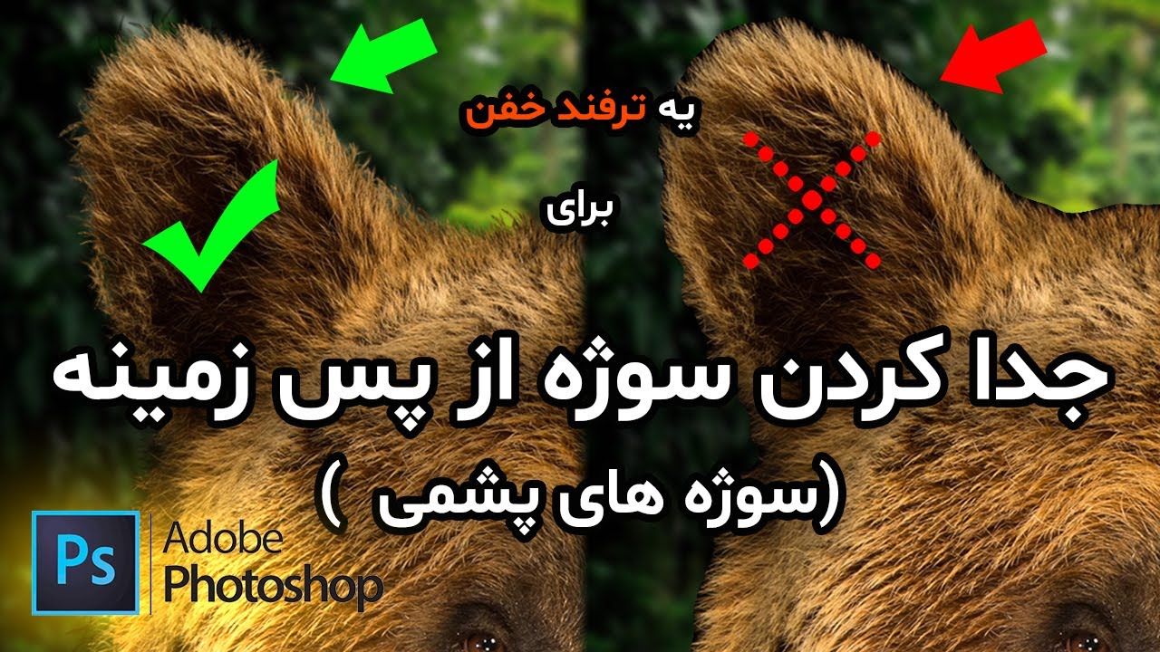 آموزش جداسازی سوژه‌های پشمی از پس‌زمینه در فتوشاپ 2021